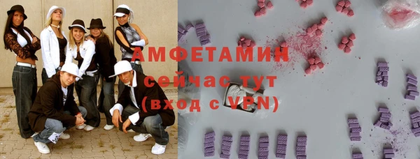 сатива Балахна