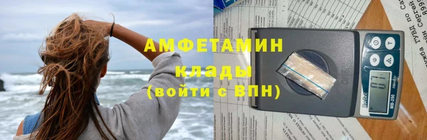 сатива Балахна