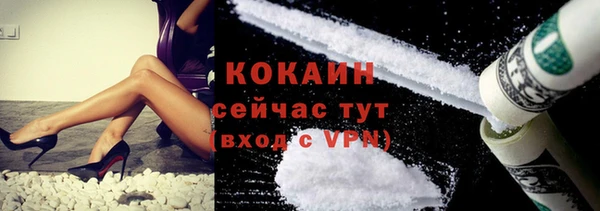сатива Балахна
