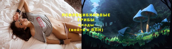 ECSTASY Баксан