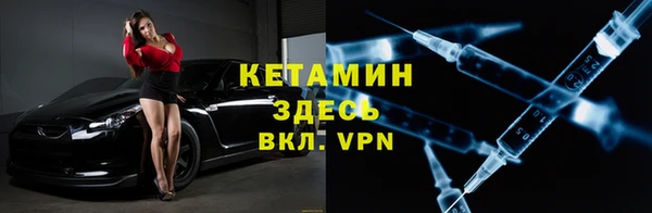 сатива Балахна