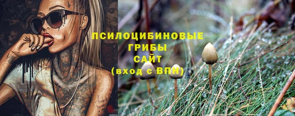 ECSTASY Баксан