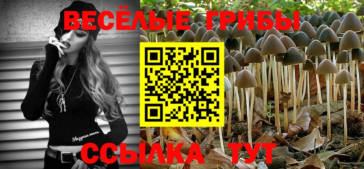 Галлюциногенные грибы GOLDEN TEACHER  Вход с VPN  Кувандык 